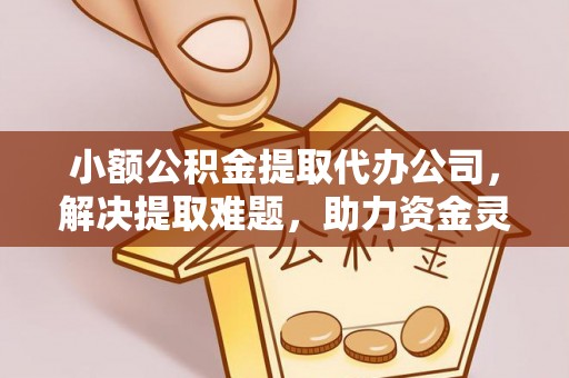新洲小额公积金提取代办公司，解决提取难题，助力资金灵活使用