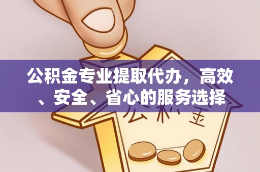 新洲公积金专业提取代办，高效、安全、省心的服务选择