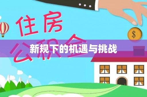 新洲新规下的机遇与挑战