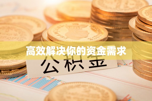新洲高效解决你的资金需求