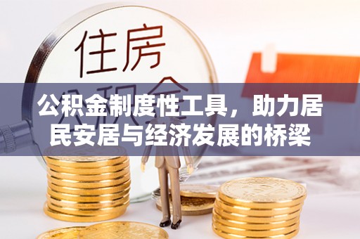 新洲公积金制度性工具，助力居民安居与经济发展的桥梁