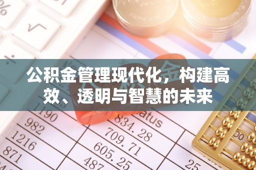 新洲公积金管理现代化，构建高效、透明与智慧的未来