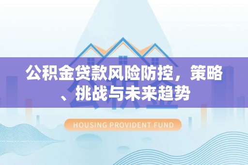 新洲公积金贷款风险防控，策略、挑战与未来趋势