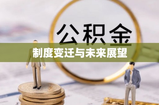新洲制度变迁与未来展望