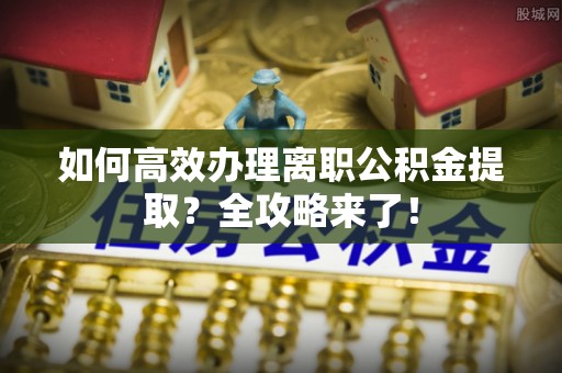新洲如何高效办理离职公积金提取？全攻略来了！