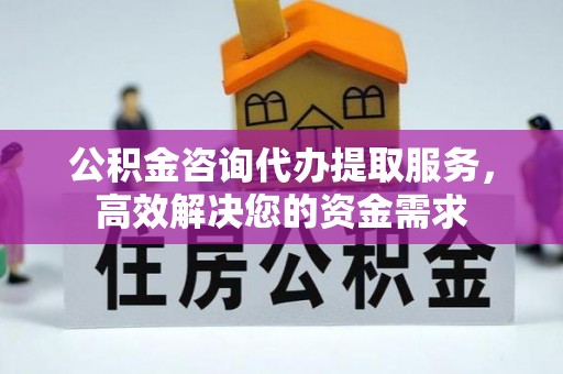 新洲公积金咨询代办提取服务，高效解决您的资金需求