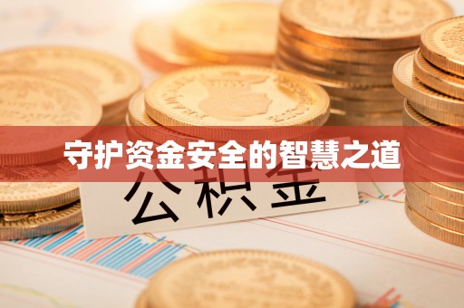 新洲守护资金安全的智慧之道