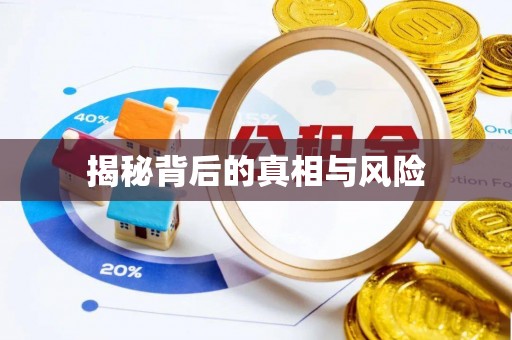 新洲揭秘背后的真相与风险