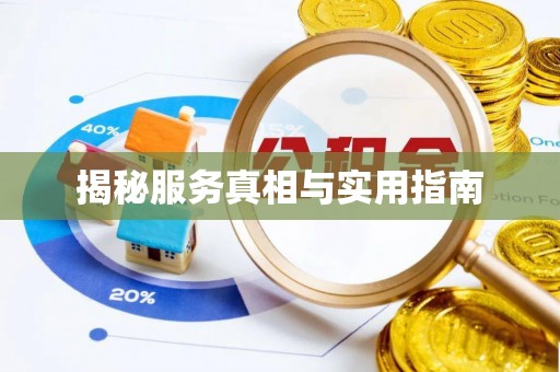 新洲揭秘服务真相与实用指南