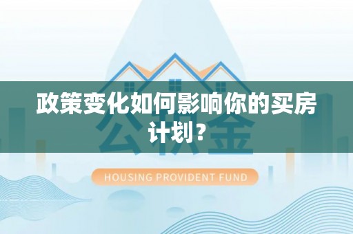 新洲政策变化如何影响你的买房计划？