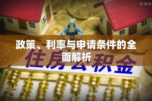 新洲政策、利率与申请条件的全面解析