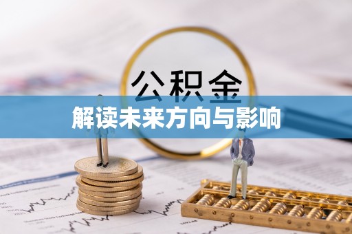 新洲解读未来方向与影响