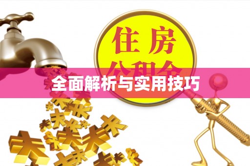新洲全面解析与实用技巧
