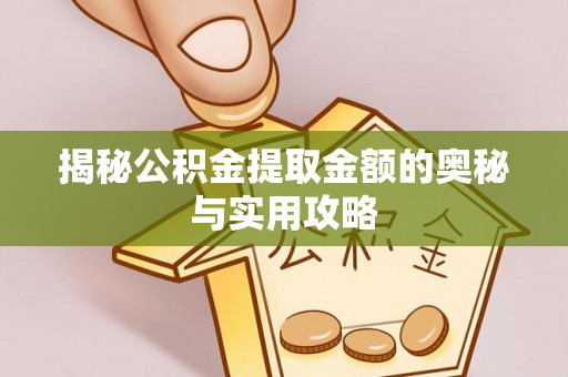 新洲揭秘公积金提取金额的奥秘与实用攻略