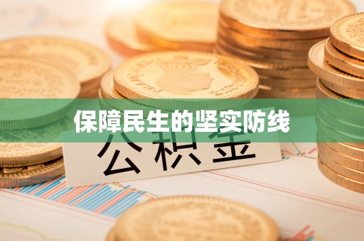 新洲保障民生的坚实防线