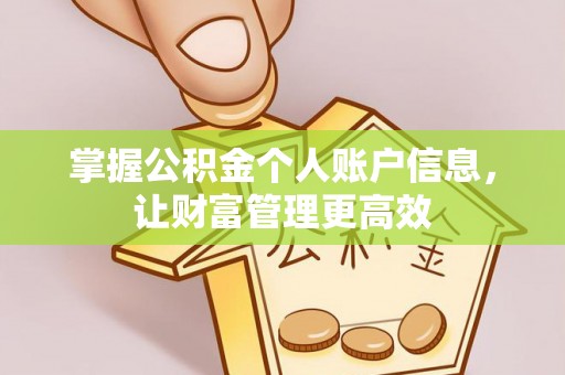 新洲掌握公积金个人账户信息，让财富管理更高效