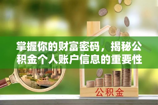 新洲掌握你的财富密码，揭秘公积金个人账户信息的重要性