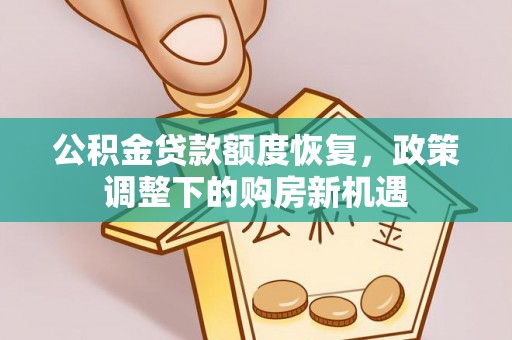 新洲公积金贷款额度恢复，政策调整下的购房新机遇