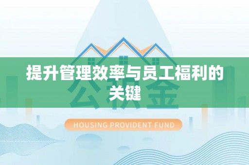 新洲提升管理效率与员工福利的关键