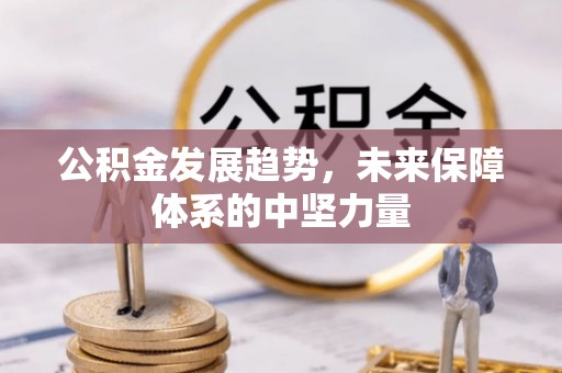 新洲公积金发展趋势，未来保障体系的中坚力量