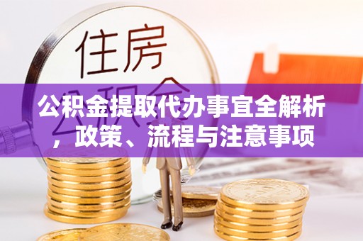 新洲公积金提取代办事宜全解析，政策、流程与注意事项