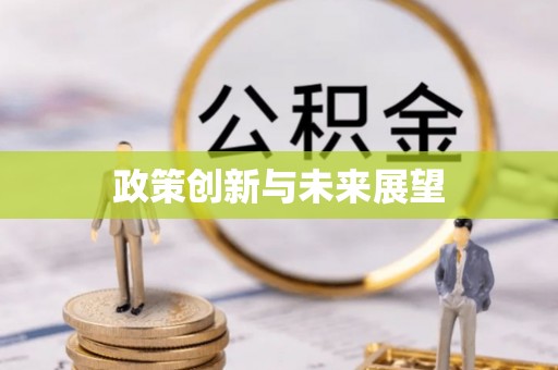 新洲政策创新与未来展望