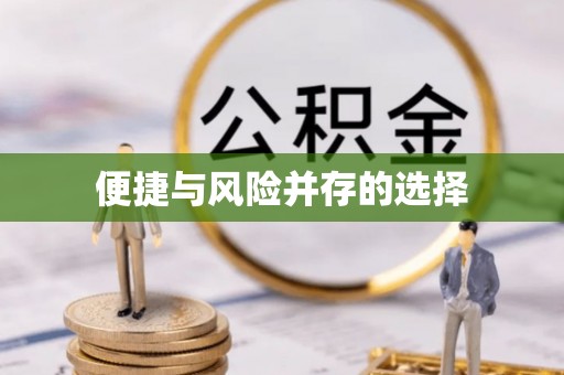 新洲便捷与风险并存的选择