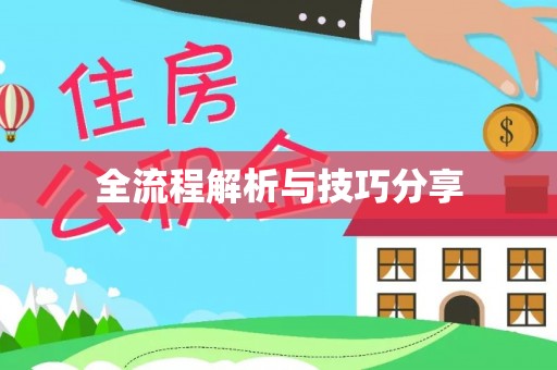新洲全流程解析与技巧分享