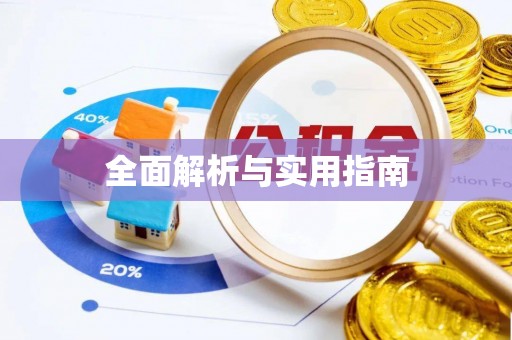 新洲全面解析与实用指南